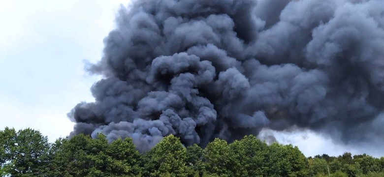 Pożar w Żółwinie. Płonie hala, akcję gaśniczą utrudnia konstrukcja budynku