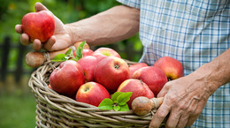 To jeden z najzdrowszych owoców. Sprawdź swoją wiedzę o jabłkach. Rozwiąż nasz quiz