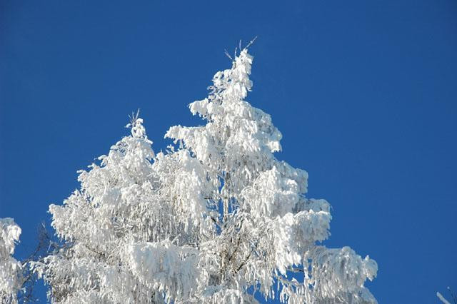 Galeria Polska - Bieszczady na nartach i parolotni, obrazek 1