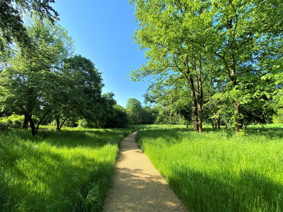 Jest naturalny. Park wokół Dworku Matejki w Krakowie po remoncie