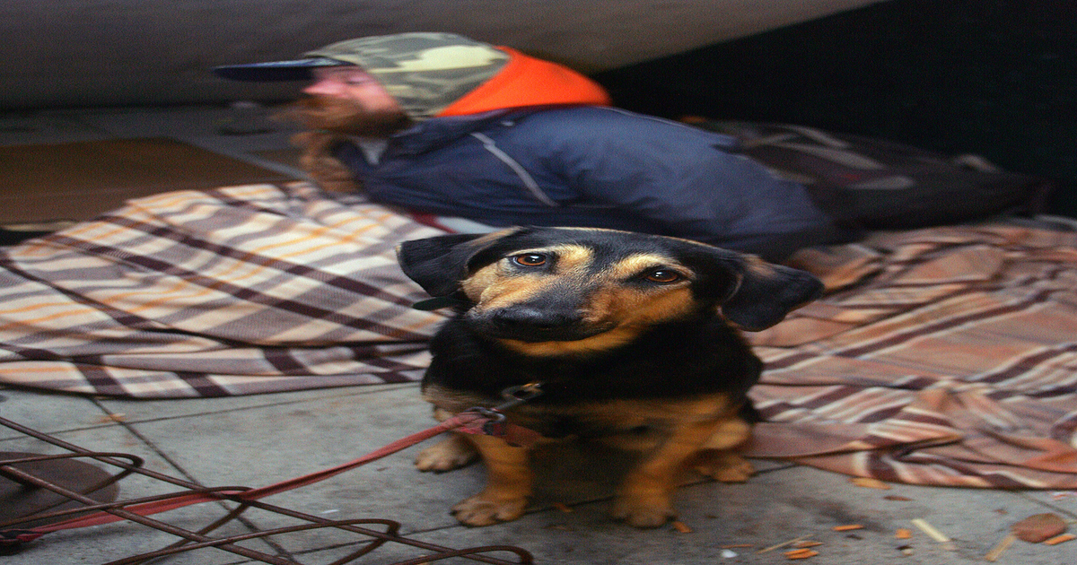 Jour-de-No-l-Reims-Un-sans-abri-de-35-ans-retrouv-mort