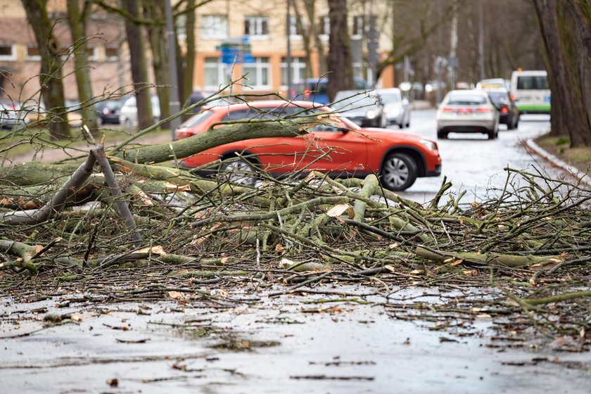 Szalejąca wichura w Szczecinie i w okolicach