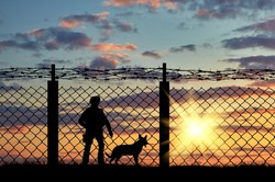 "Żołnierz nie popełni przestępstwa, jeśli użyje broni". MON z projektem przepisów