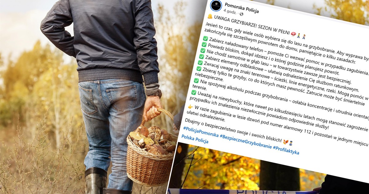 Policja opublikowała teraz ten apel. To bardzo ważne. Chodzi o grzyby