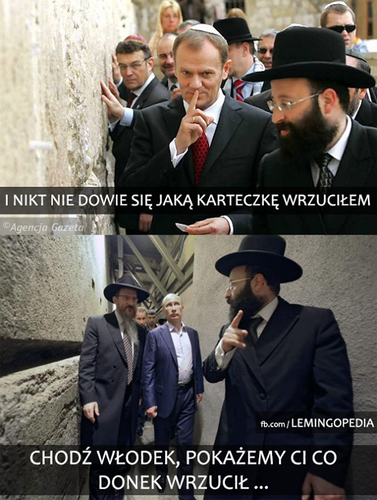 mem / źródło: Facebook/Lemingopedia