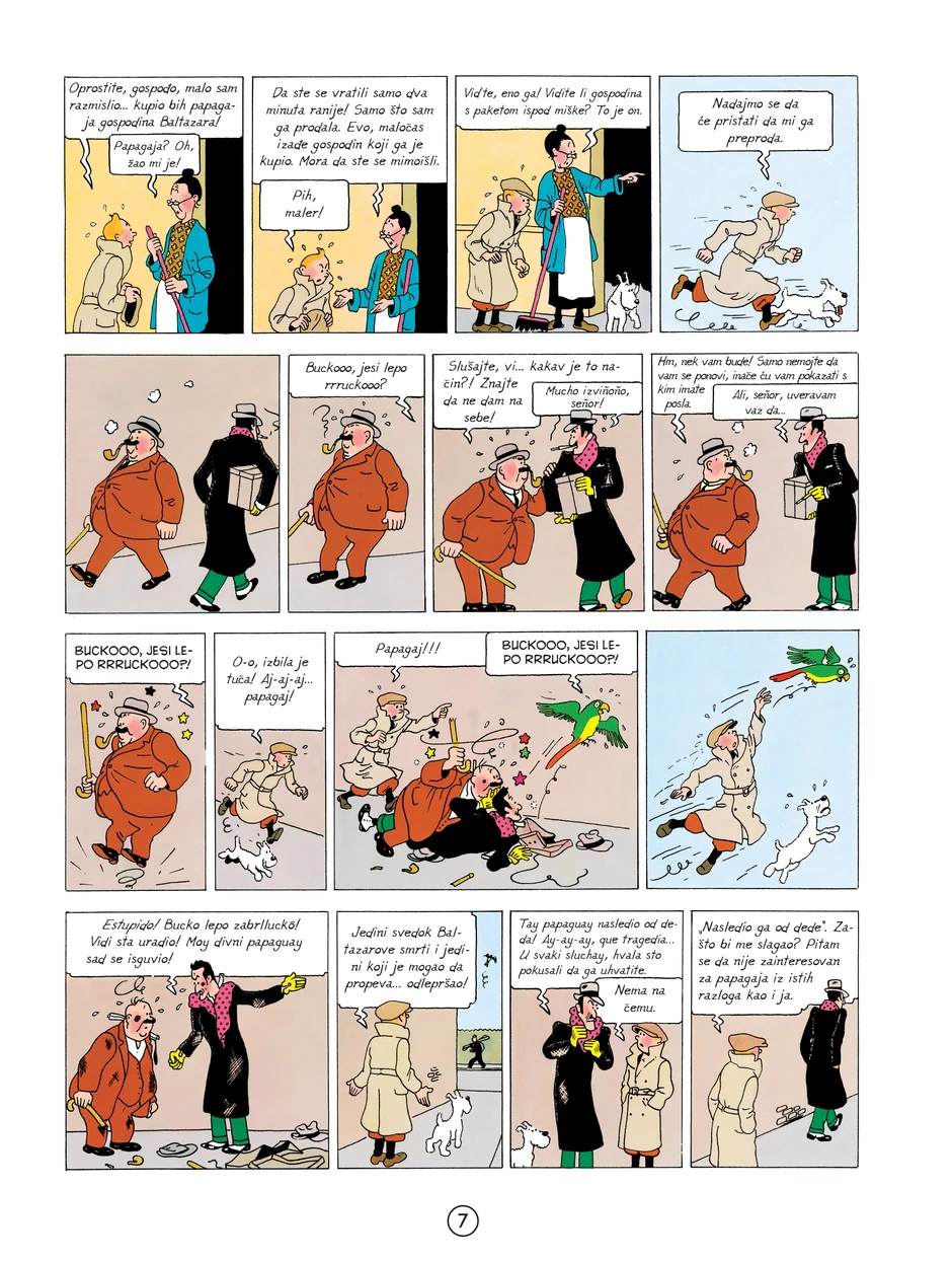 Tintin uzorak foto najkula