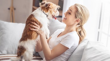 co z obowiązkowym czipowaniem psów? resorty nadal spierają się o kropi