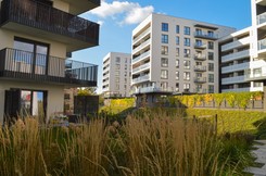 Ceny mieszkań eksplodowały. Nowe dane z rynku zaskakują nawet ekspertów