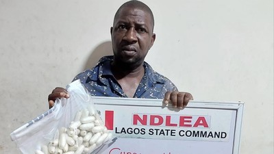 Drug Lord intercepted with 93 wraps of cocaine. [NDLEA]