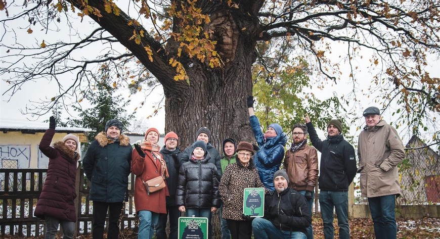 Dąb, nazwany przez mieszkańców Robertem, ma ponad 350 lat. Rośnie na Lewandowie w sąsiedztwie stadniny koni i szkoły podstawowej. Jest jedynym pomnikiem przyrody na wschodniej Białołęce.