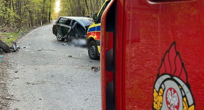 Samochód zatrzymał się na drzewie. Tam była cała rodzina. Tragedia w Mysłowicach