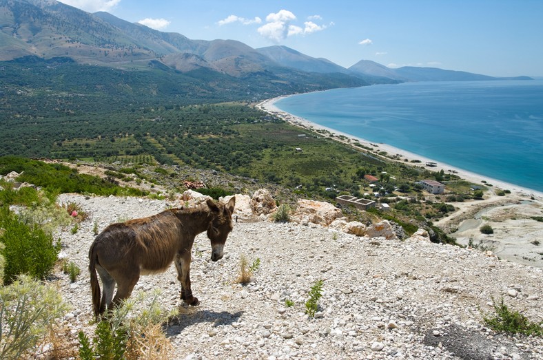 Albania, Bałkany