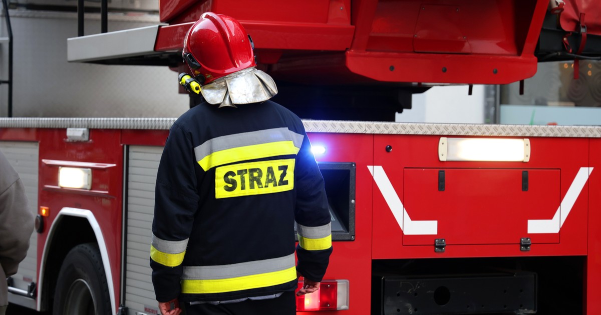 Makabryczne odkrycie w trakcie gaszenia pożaru. Nie zabił ich jednak ogień