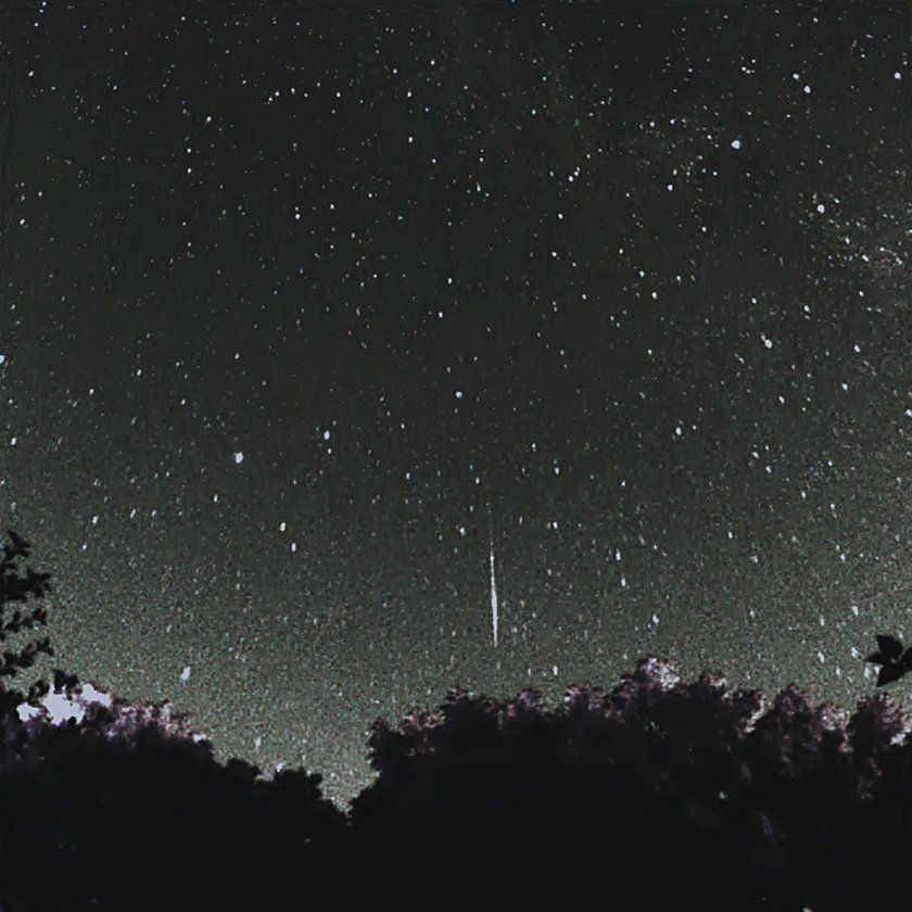 Dziś spadną gwiazdy. Łódzki botanik zaprasza na wspólne oglądanie Perseidów