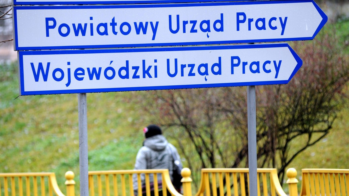 urząd pracy, praca, bezrobocie