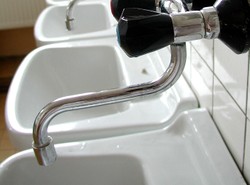 Kranówka z Los Angeles jest najlepsza na świecie