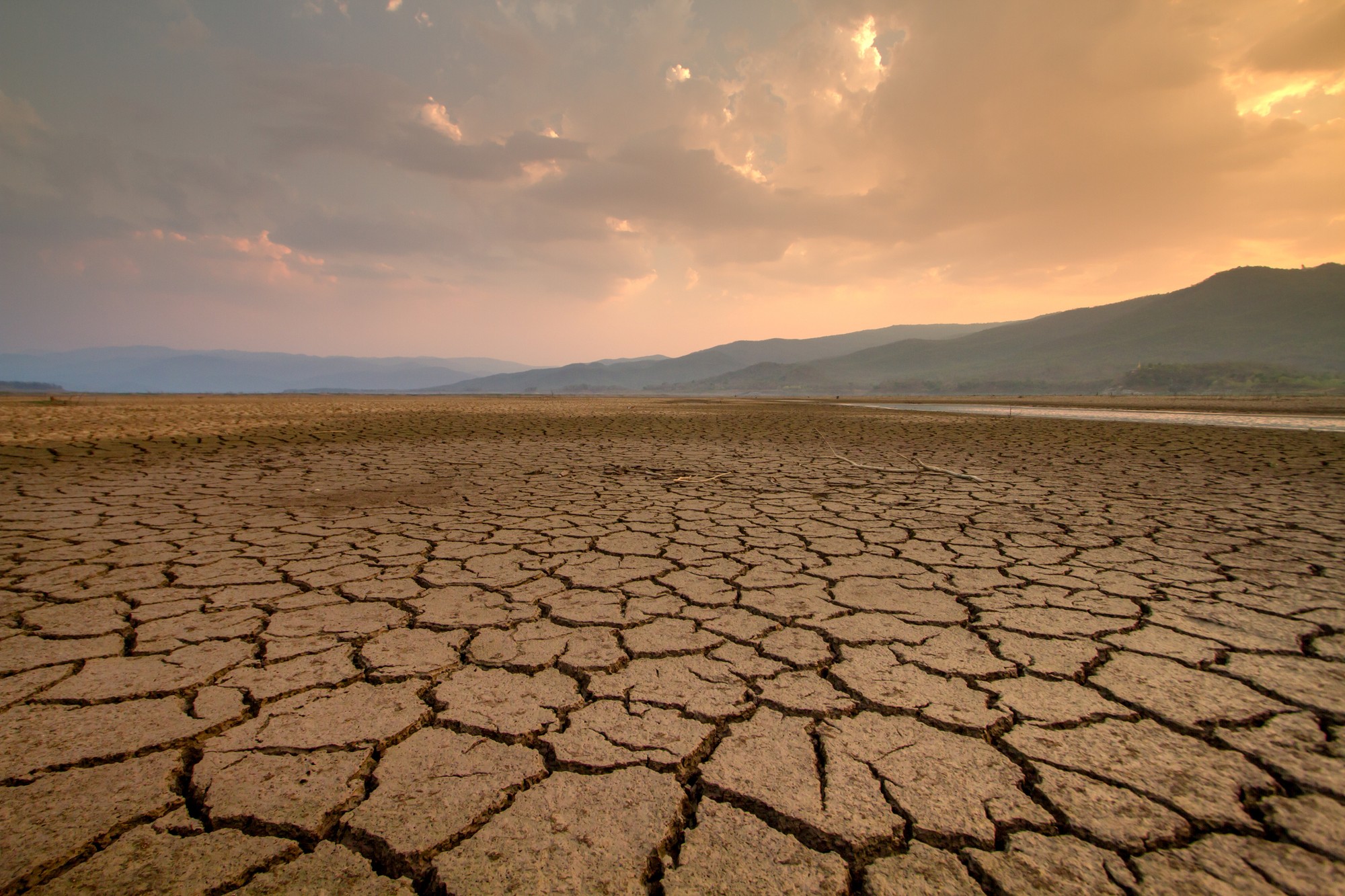 Cena, ktorú platíme za klimatické zmeny, je obrovská.