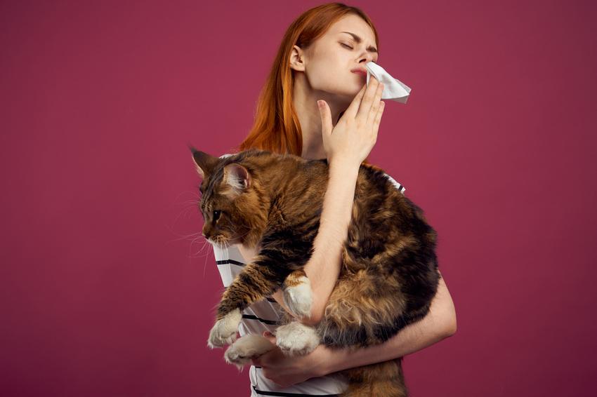 Kutya, macska, nyúl: nem csak a szőre lehet allergén | EgészségKalauz
