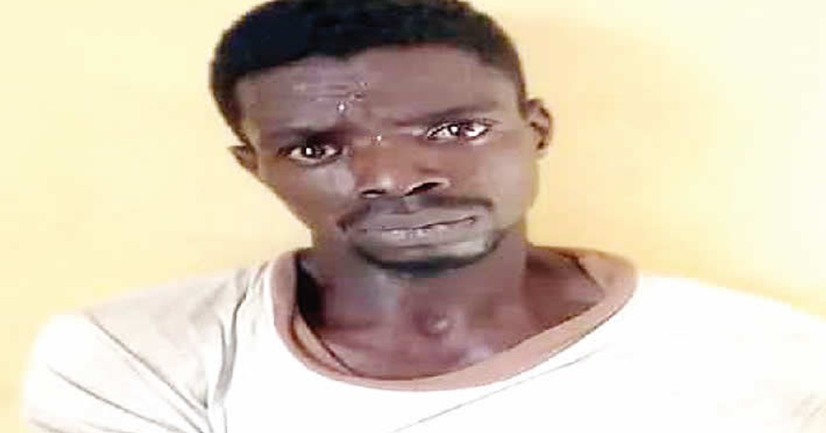 Keke napep driver defiles 14-year-old groundnut hawker in Ogun - Vimarsana News