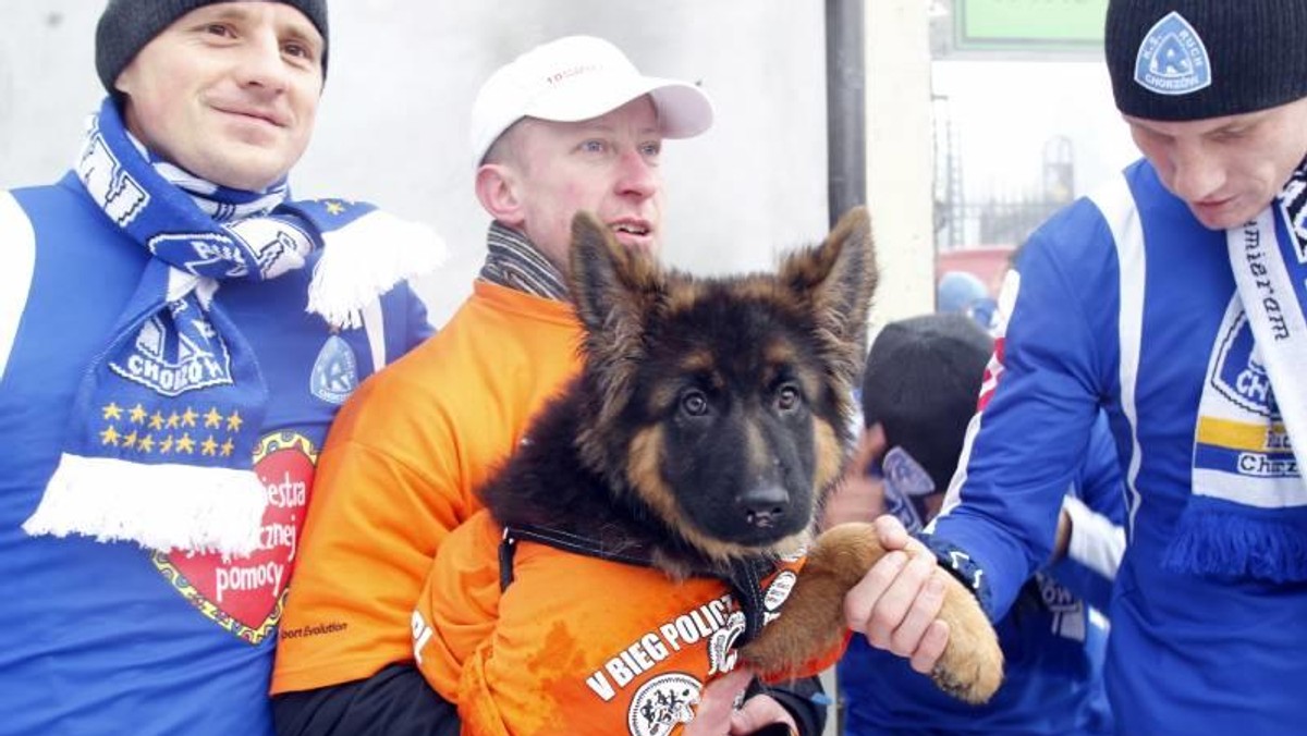 Wośp cukrzyca policz się z cukrzycą bieg