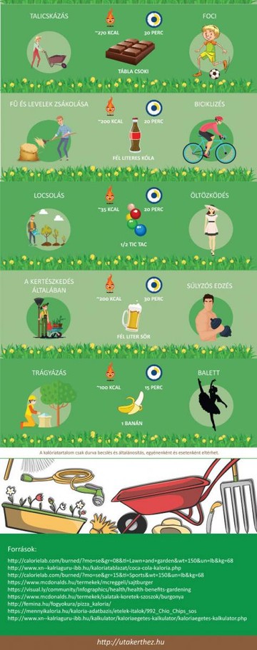 infografika600_03