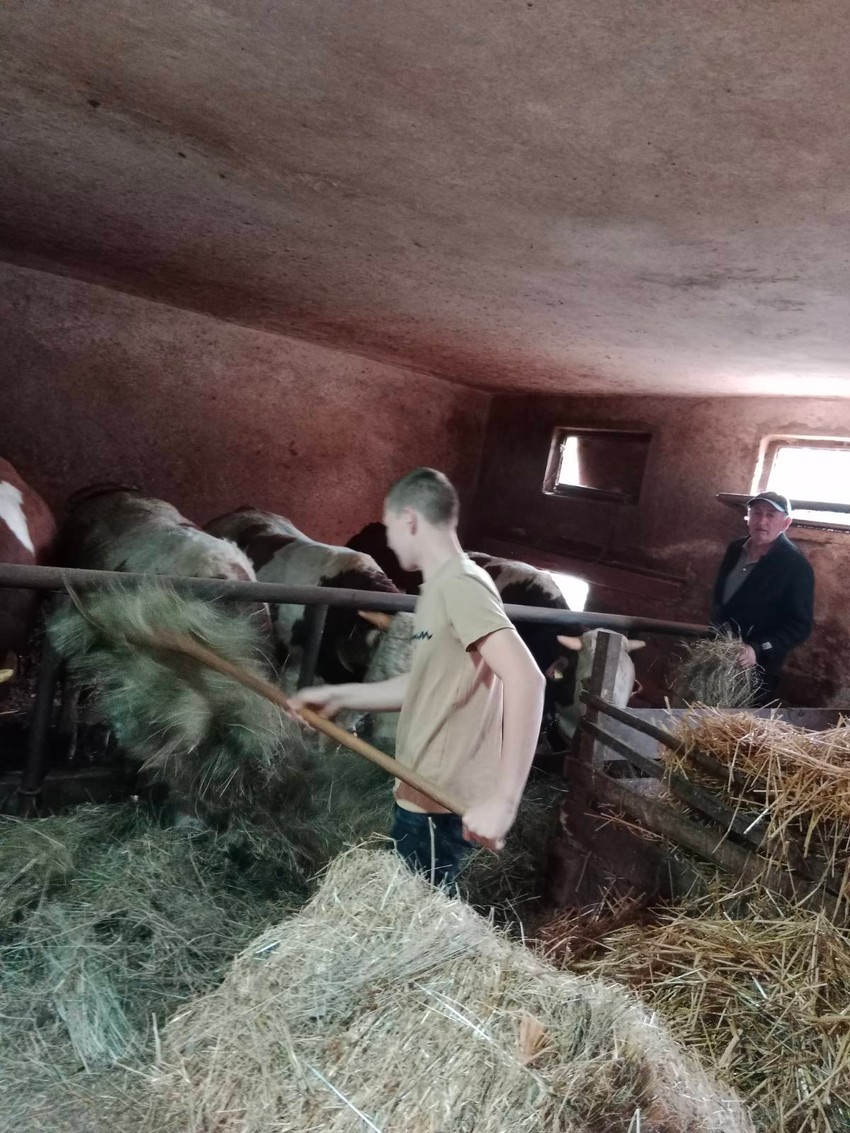 Gazdinstvo Jovanović