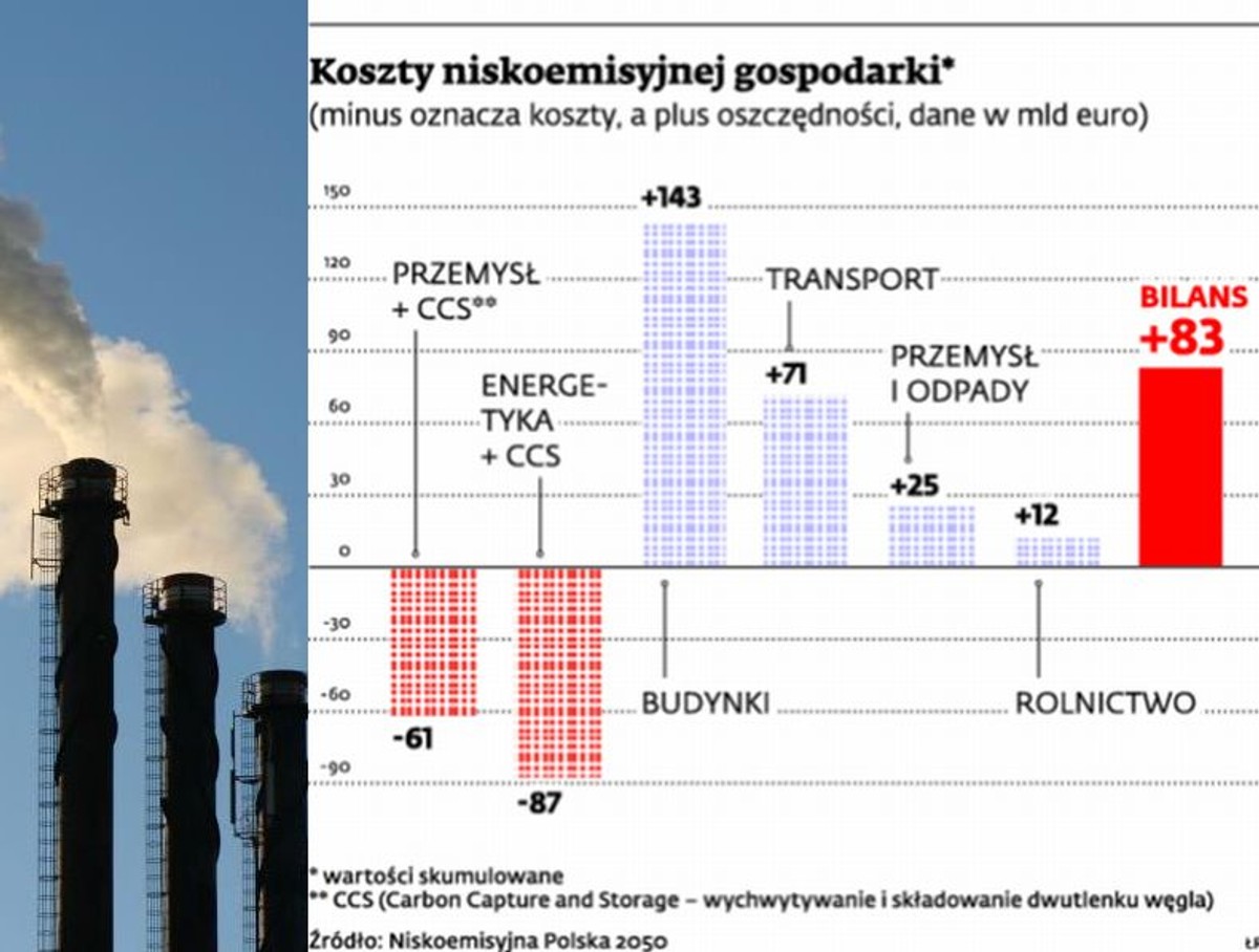 Koszty niskoemisyjnej gospodarki