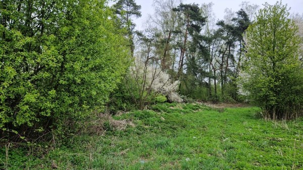 Zbiornik retencyjny będzie gromadził nadmiar wód w okresie nasilonych opadów i równocześnie ma zapewniać wodę na czas suszy.