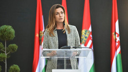 Varga Judit megszólalt az Európai Parlament állásfoglalásáról az azonos neműek házasságát és élettársi kapcsolatát illetően 