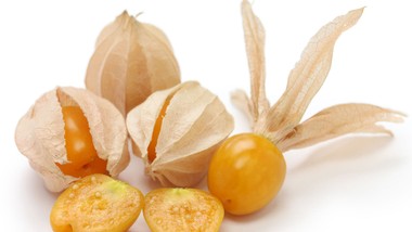 miechunka: crispr zmienia niepozorny owoc w gwiazdę przyszłego rolnict