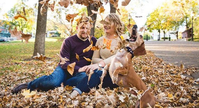 The hilarious engagement snaps have gone viral online, turning Louie into an internet star