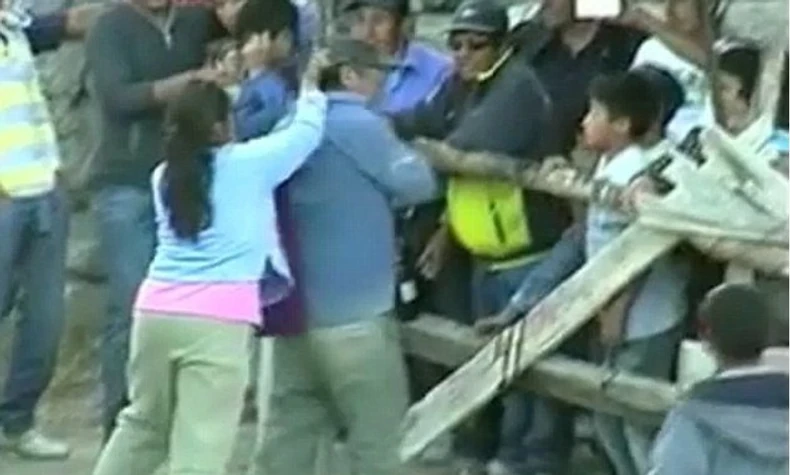 Prema ovoj eneergičnoj dami, bik j emala maca