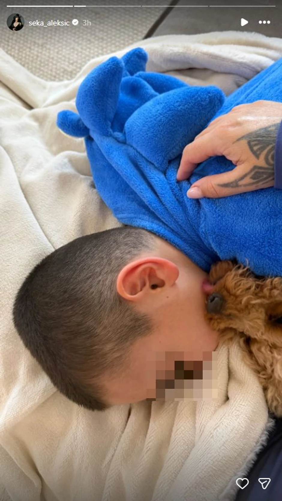 Seka Aleksić, objava