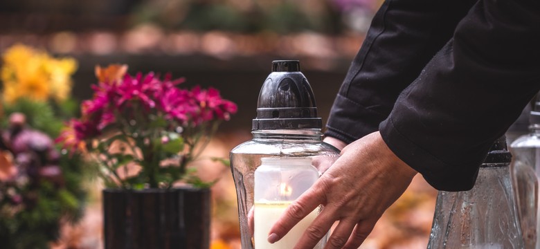 Wydatki na Wszystkich Świętych 2025. Ile kosztują znicze i chryzantemy?