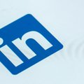 Jak pozyskiwać pracowników na LinkedIn? Rekruterzy zdradzają skuteczne techniki