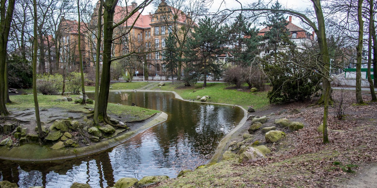 Już teraz wiadomo, że przed wejściem do parku Wilsona doszło do pobicia ze skutkiem śmiertelnym.