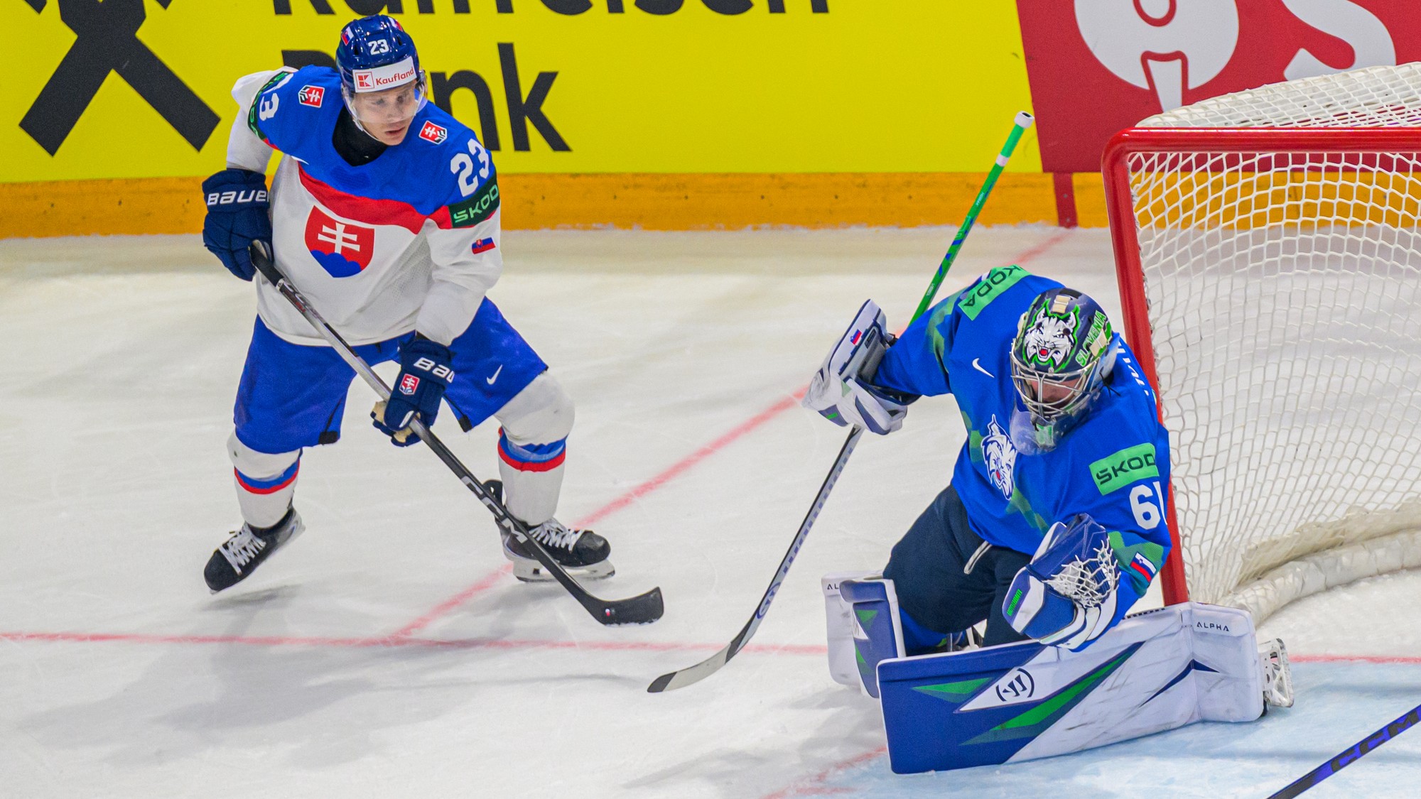 Sprava brankár Lukáš Horák (Slovinsko) a Adam Liška (Slovensko). 
