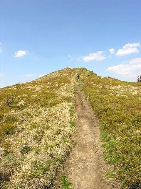 Galeria Polska - Bieszczady, obrazek 18