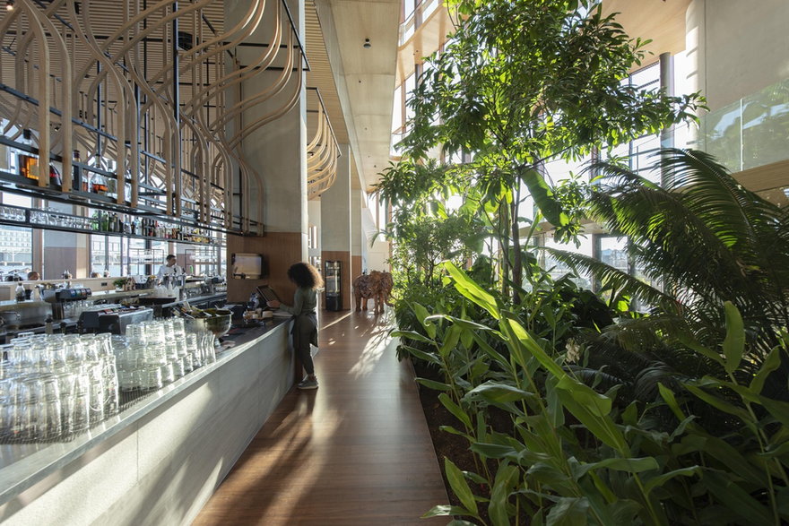 Najbardziej ekologiczny hotel w Holandii. Tutaj nawet akustyka jest przyjazna ludziom