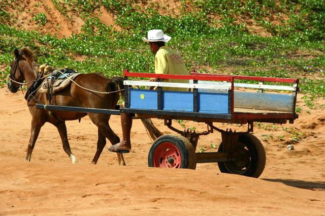 Galeria Brazylia - Canoa Quebrada, obrazek 22