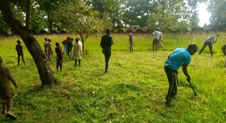 United by Sallah: Kaduna Christians join Muslims to clear grass at mosque. [Daily Trust]