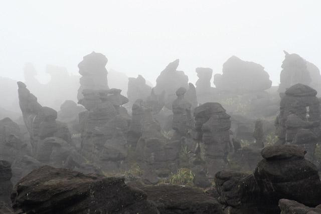 Galeria Wenezuela - Gran Sabana i Roraima, obrazek 10