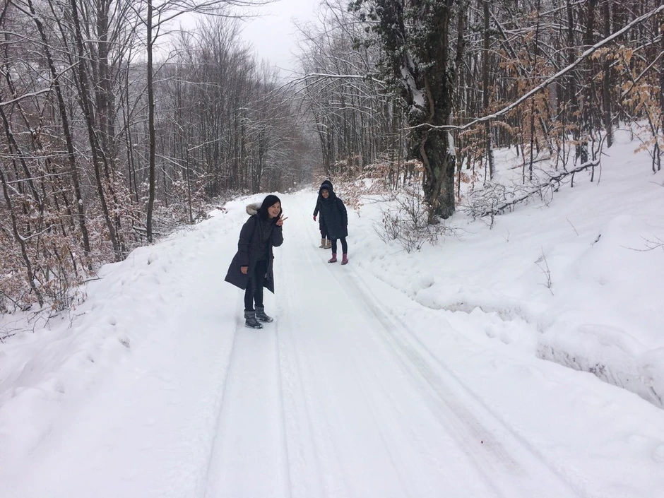 Reportaže na kineskim televizijama ih dovele na Zlatibor