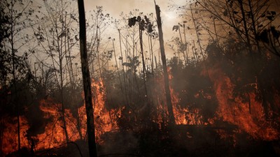 A burning tract of Amazon jungle is seen while as it is being cleared by loggers and farmers in Porto Velho