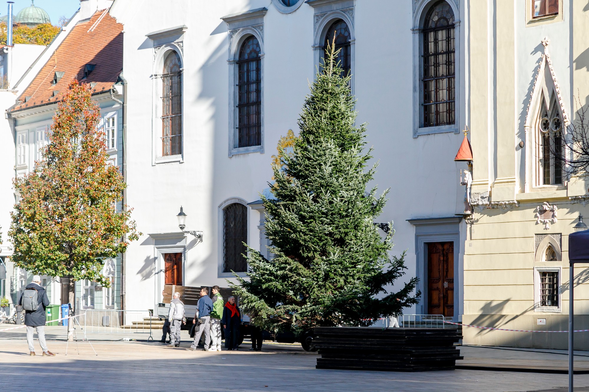 Na Hlavnom námestí v Bratislave osadili vianočný strom.