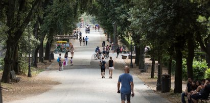 Brutalny gwałt na bezdomnej. Podejrzenie padło na Polaka