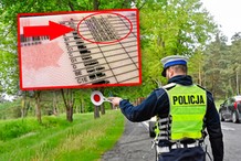 Krótsze prawa jazdy dla seniorów. Ministerstwo z jasnym stanowiskiem