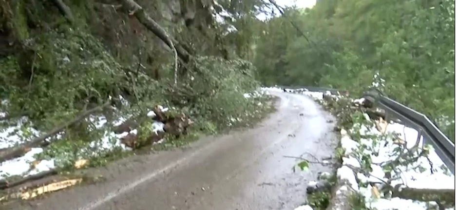 Crna Trava nakon nevremena