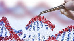 Tegoroczna nagroda Nobla z chemii za stworzenie „nożyczek do genów”. Czym jest metoda CRISPR/CAS9? [WYJAŚNIAMY]