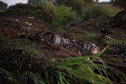 Ukraiński samolot rozbił się w Grecji. "Mógł przewozić niebezpieczne materiały"